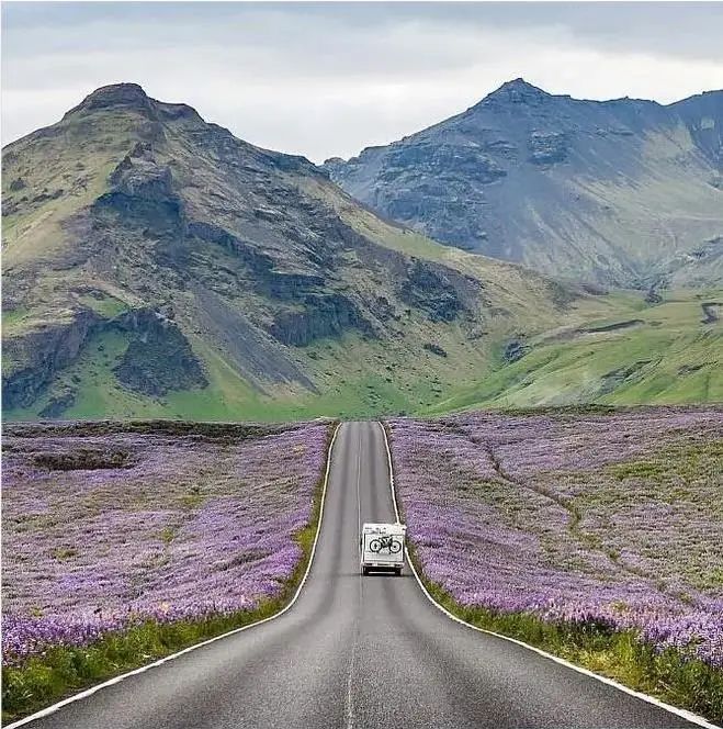 成年人不做選擇題，自由與安穩(wěn)我都要！